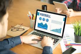 Payroll Software Solution